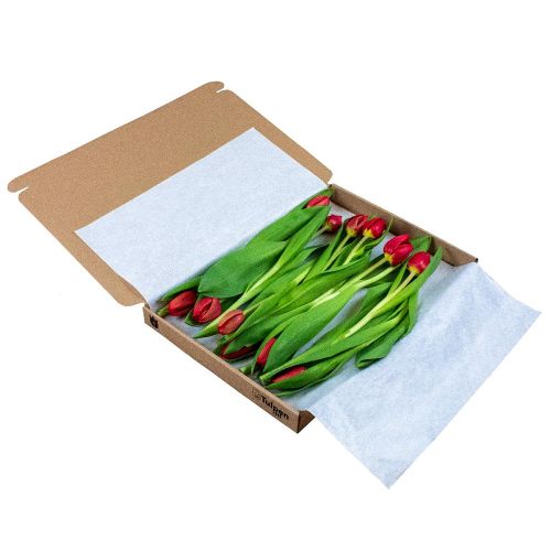 Tulpen in doosje - Afbeelding 2